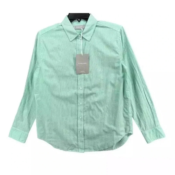 Everlane Classic Preppy Button Down Pinstripe top Size 6 Mint Green Cotton - Picture 2 of 10